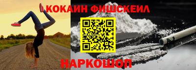 тгк Кингисепп