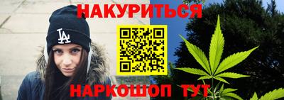 тгк Кингисепп