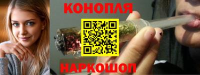 тгк Кингисепп