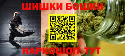 тгк Кингисепп