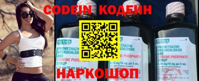 тгк Кингисепп