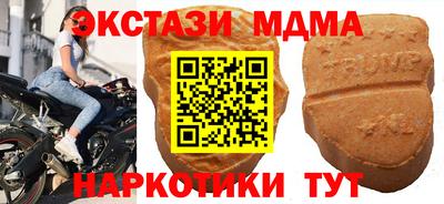 тгк Кингисепп