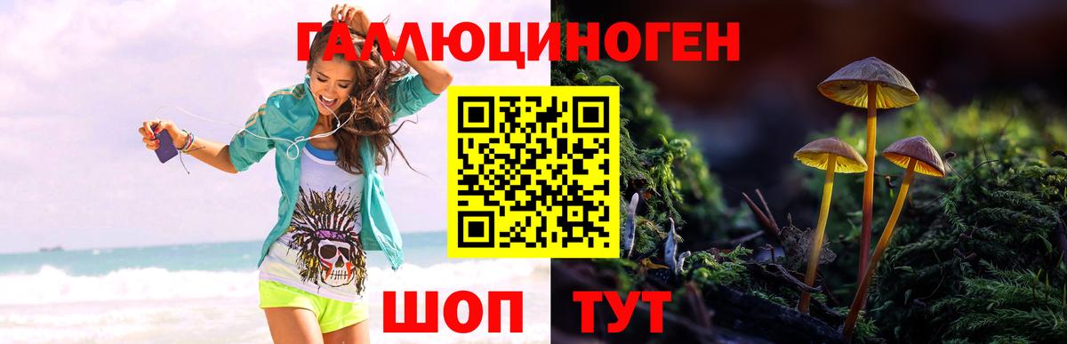 Псилоцибиновые грибы GOLDEN TEACHER Сочи