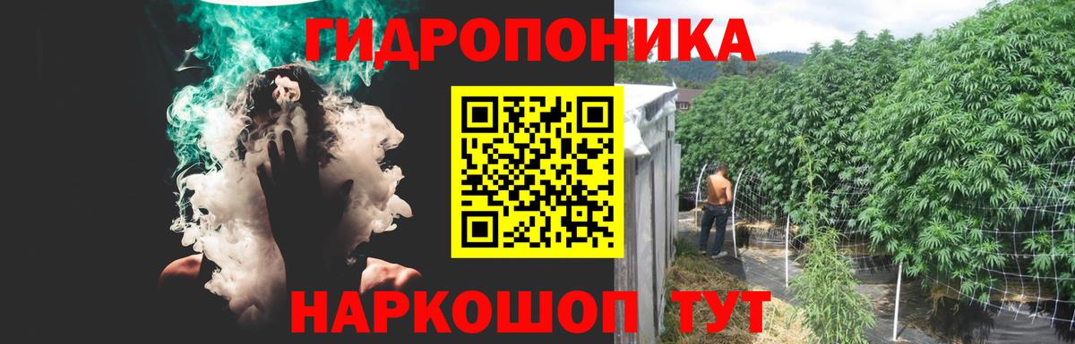 Конопля SATIVA & INDICA Сочи